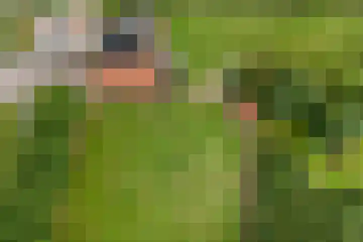 Cornelisgracht 30 Giethoorn thumbnail 7