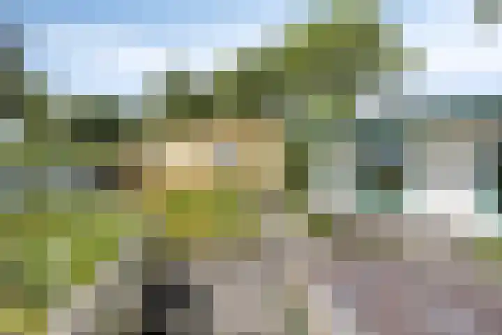 Cornelisgracht 32 d Giethoorn thumbnail 20