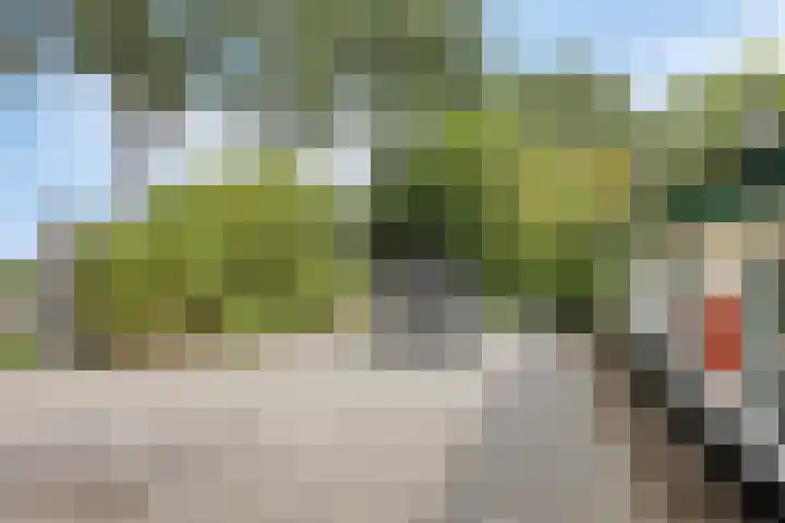 Cornelisgracht 32 d Giethoorn thumbnail 22