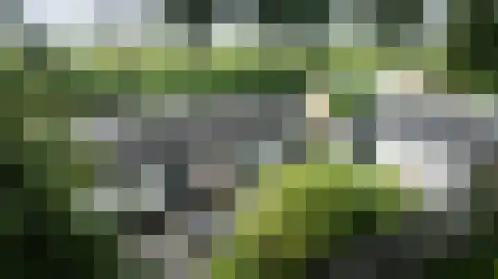 Cornelisgracht 32 d Giethoorn thumbnail 30