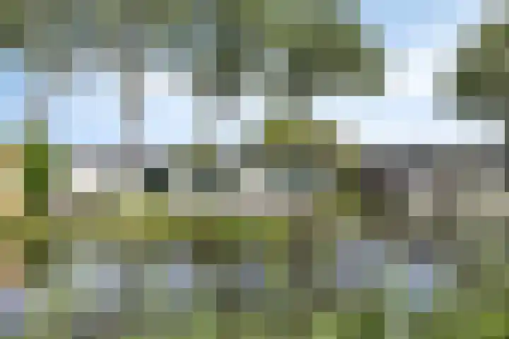 Cornelisgracht 32 d Giethoorn thumbnail 33