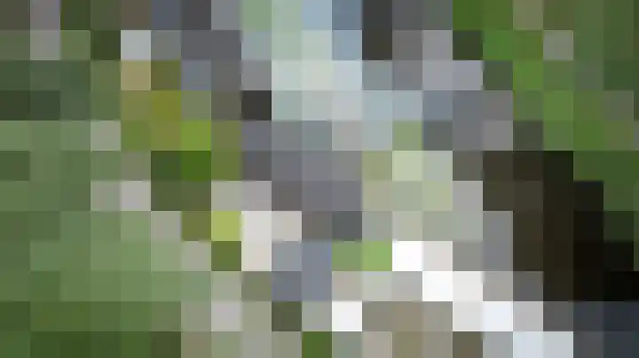 Cornelisgracht 32 d Giethoorn thumbnail 37
