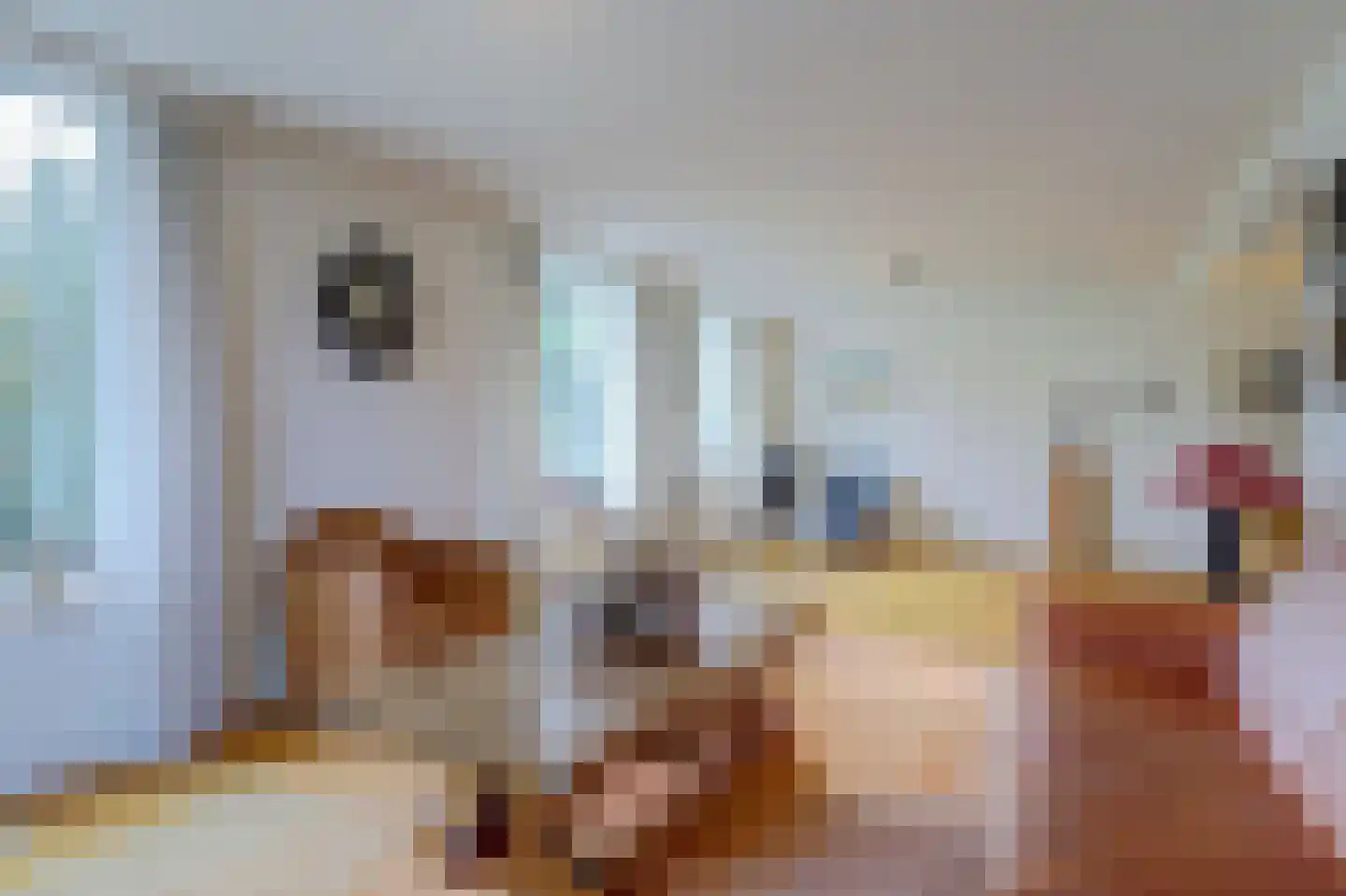 Cornelishoflaan 11 Roermond thumbnail 11