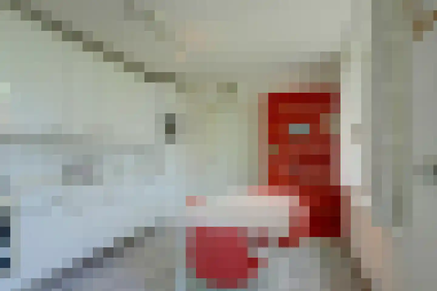 Cornelishoflaan 11 Roermond thumbnail 19