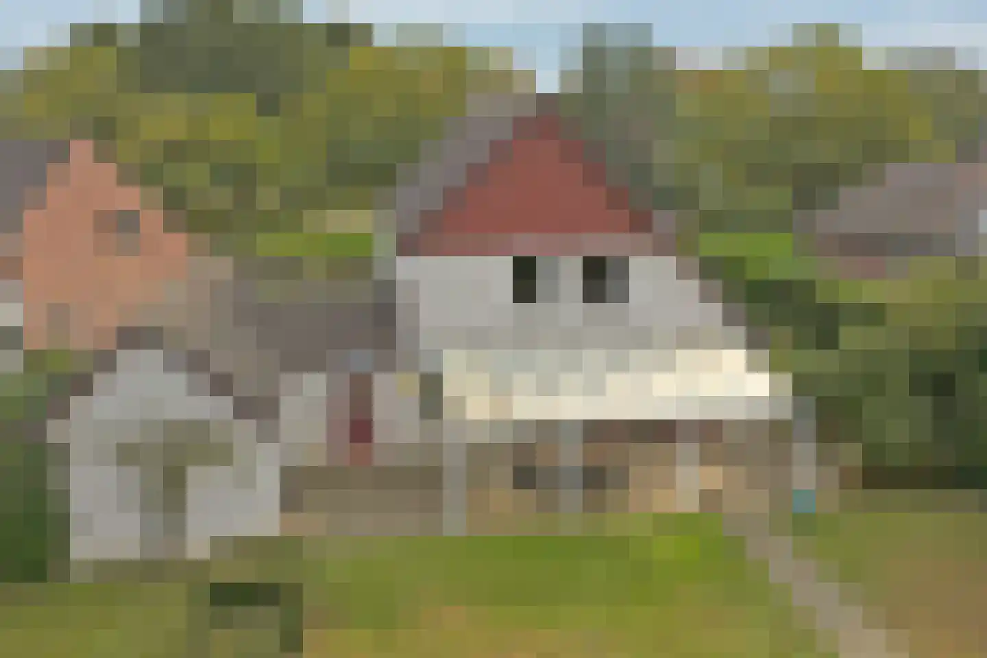 Cornelishoflaan 11 Roermond thumbnail 47