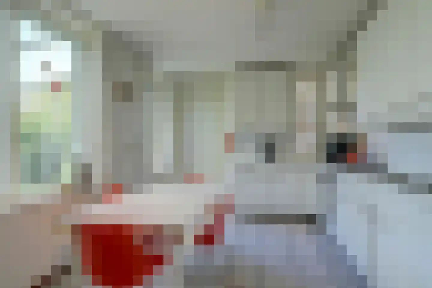 Cornelishoflaan 11 Roermond thumbnail 5