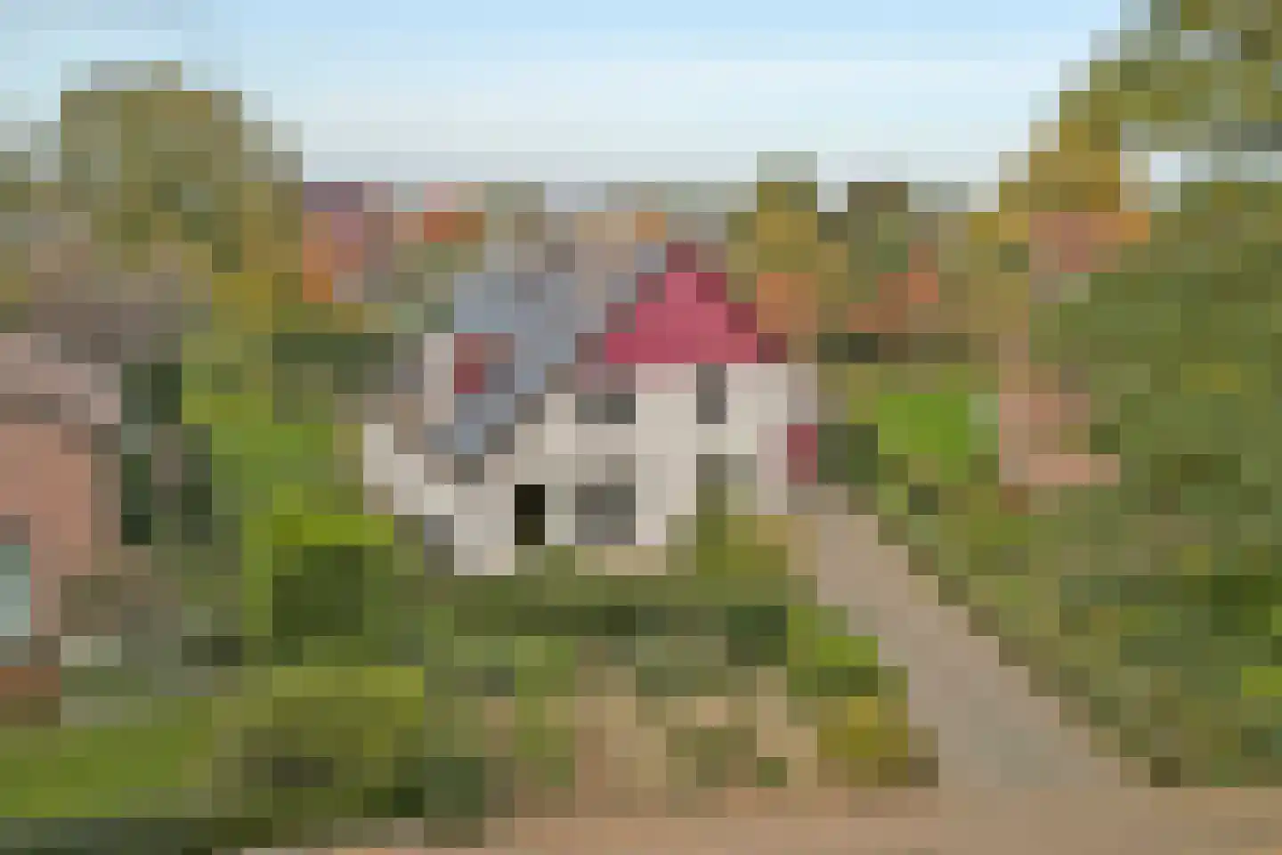 Cornelishoflaan 11 Roermond thumbnail 56