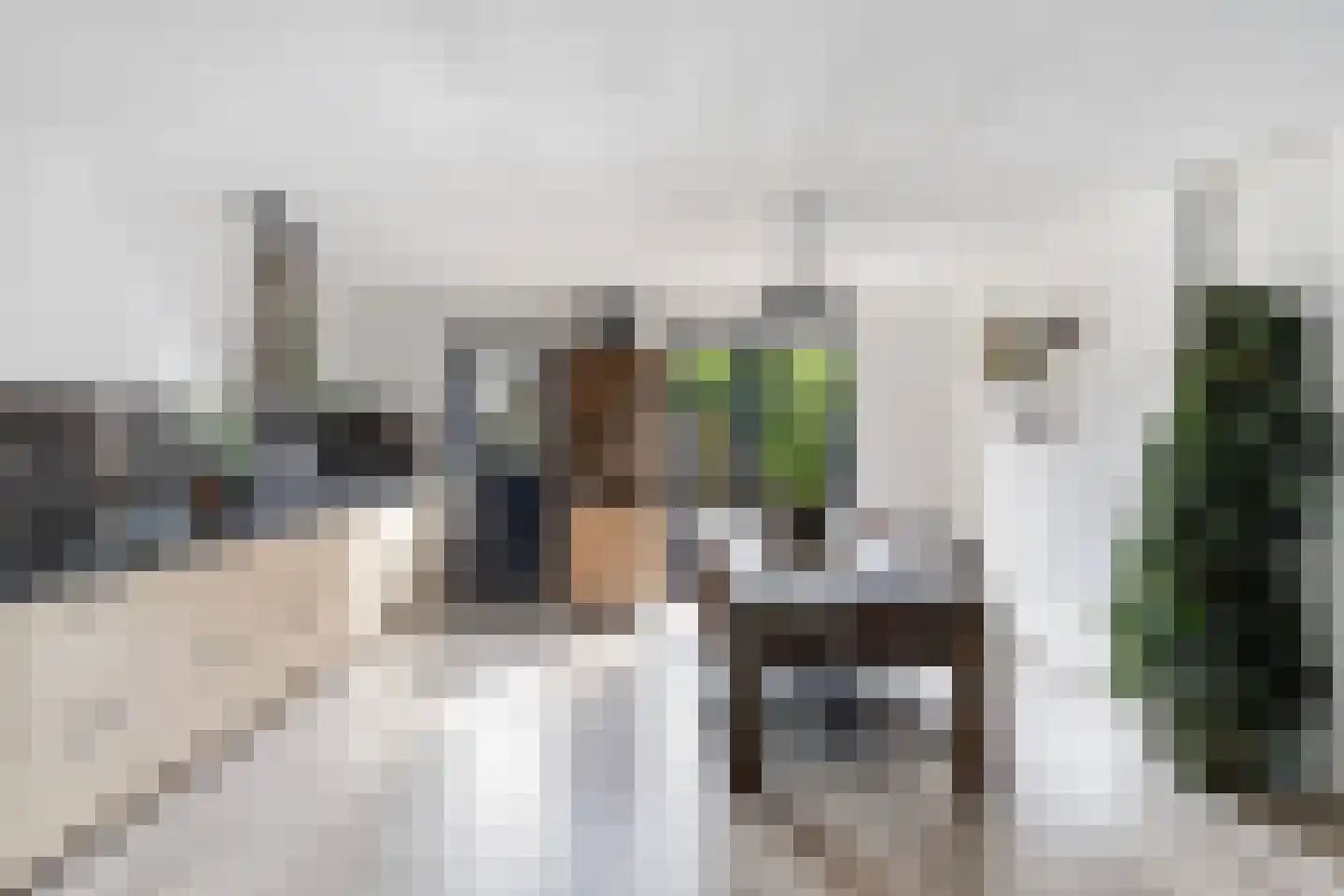 Cornelissenmarke 6 Zwolle thumbnail 10