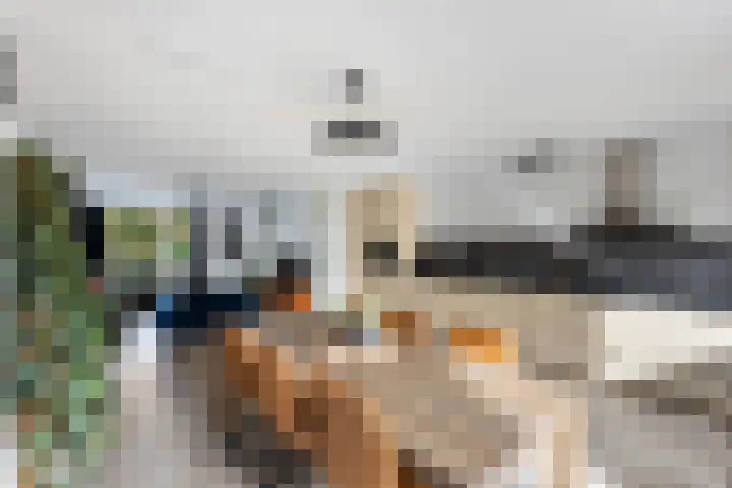 Cornelissenmarke 6 Zwolle thumbnail 12