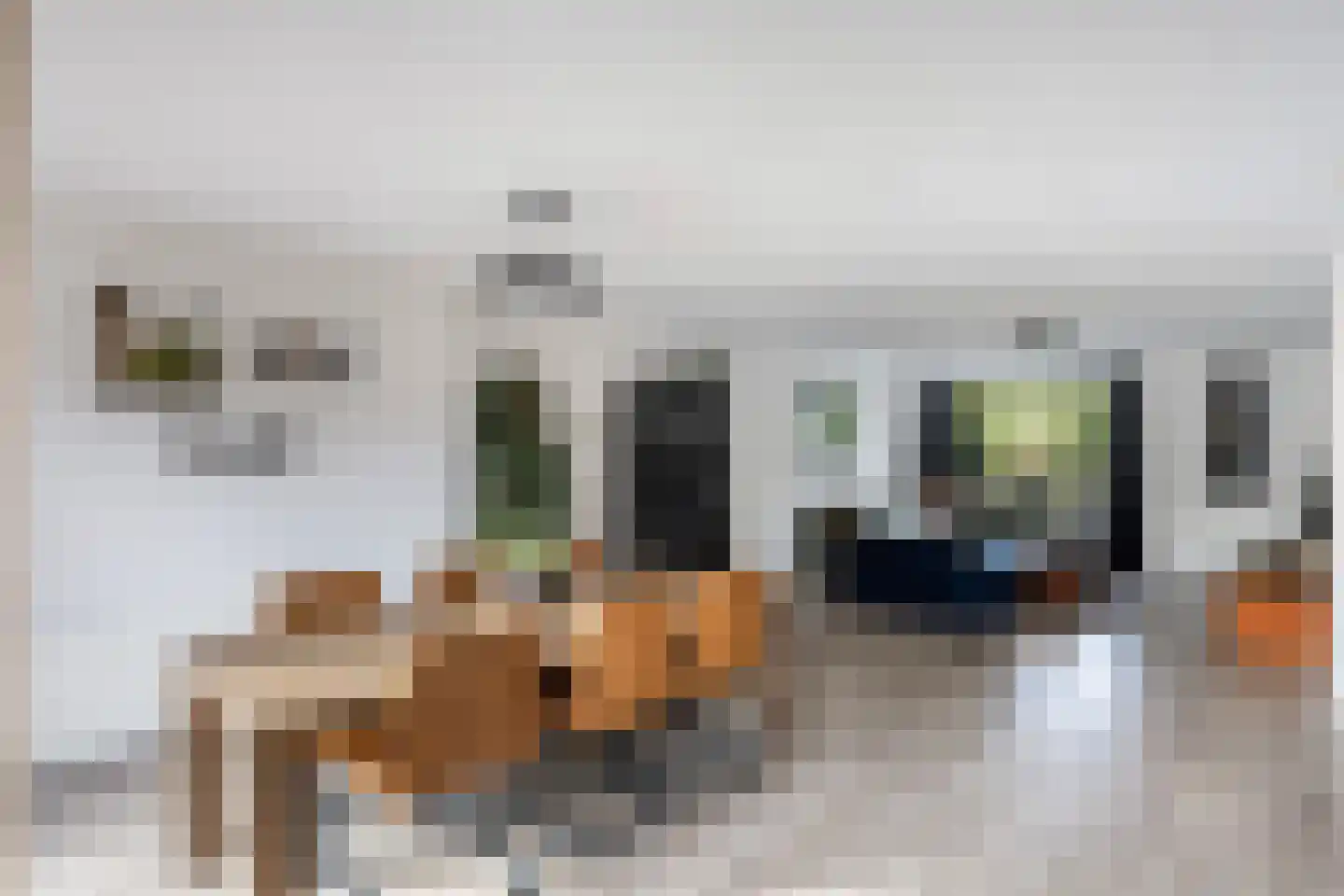 Cornelissenmarke 6 Zwolle thumbnail 13