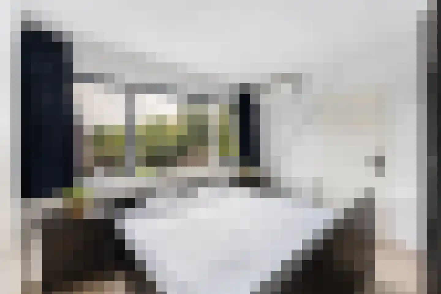 Cornelissenmarke 6 Zwolle thumbnail 21