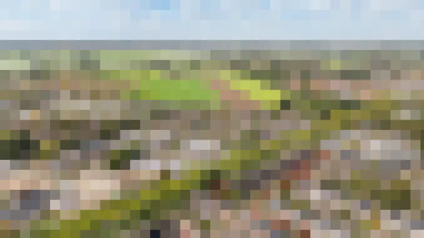 Cornelissenmarke 6 Zwolle thumbnail 28