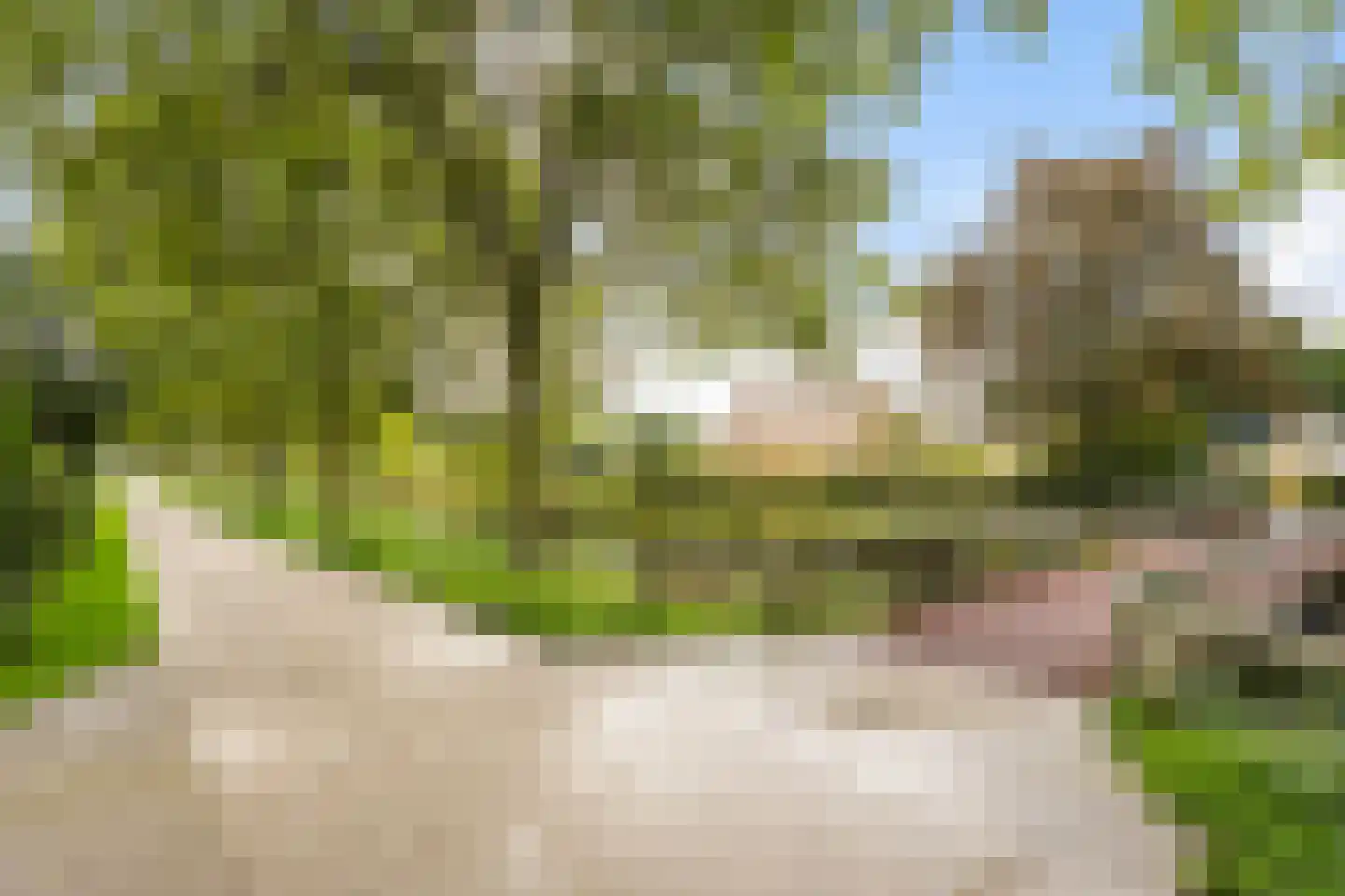 Cornelissenmarke 6 Zwolle thumbnail 4