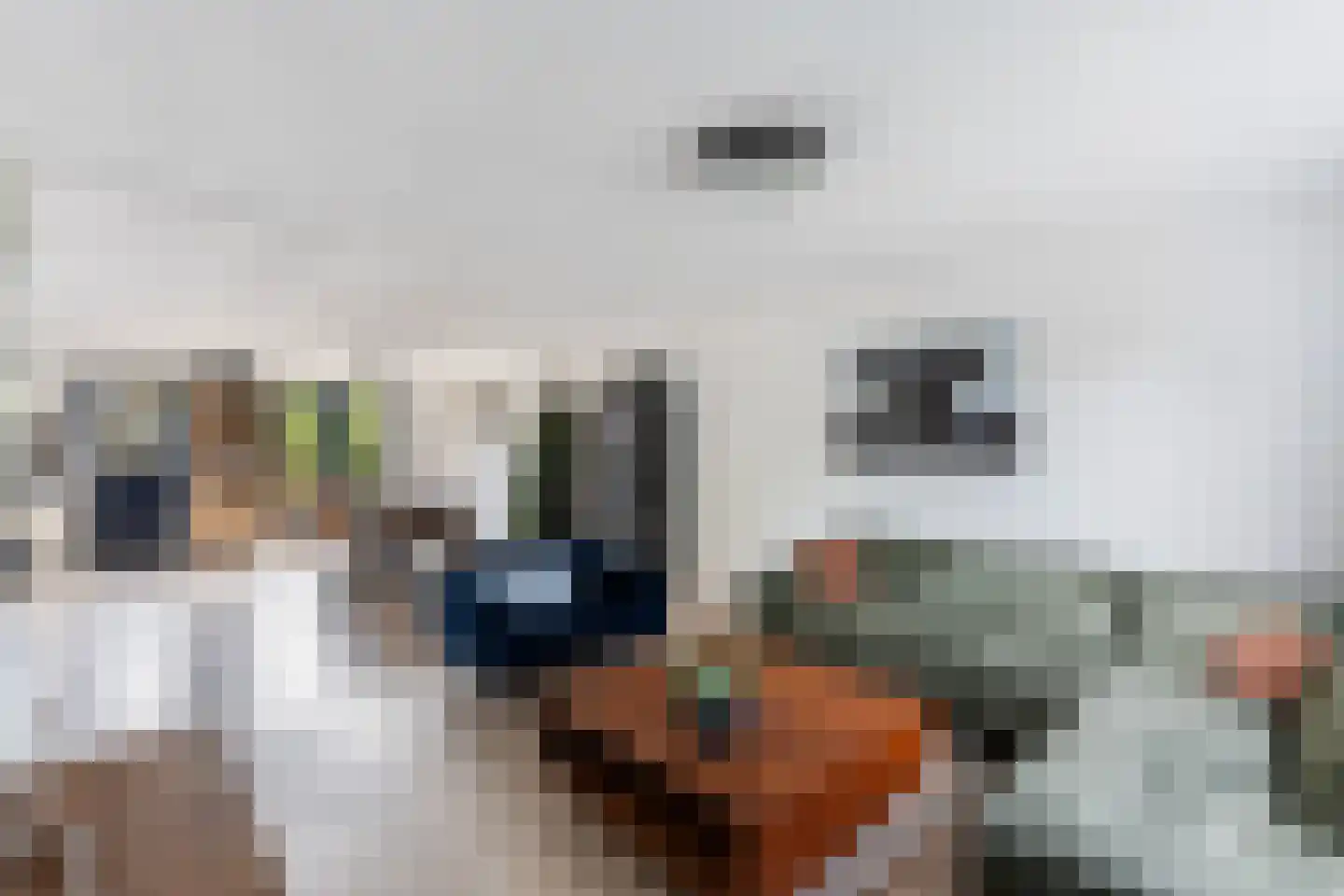 Cornelissenmarke 6 Zwolle thumbnail 6