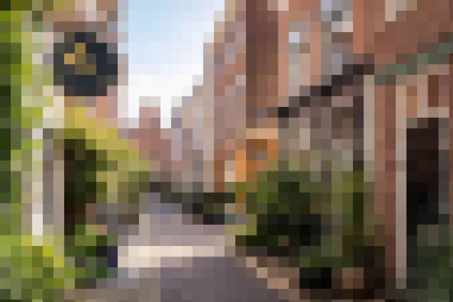 Cornelissteeg 10 Haarlem thumbnail 36