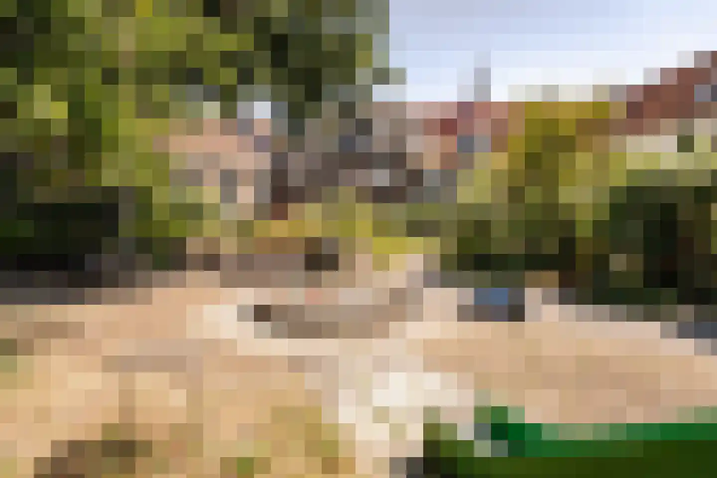 Cornelissteeg 10 Haarlem thumbnail 38