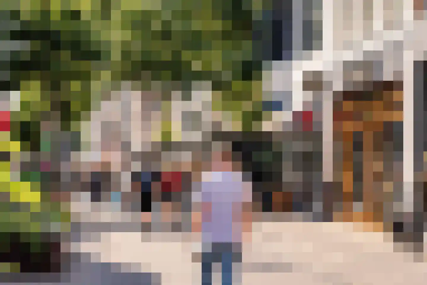 Cornelissteeg 10 Haarlem thumbnail 42