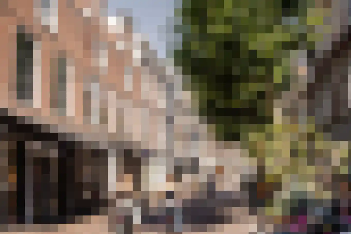 Cornelissteeg 10 Haarlem thumbnail 43
