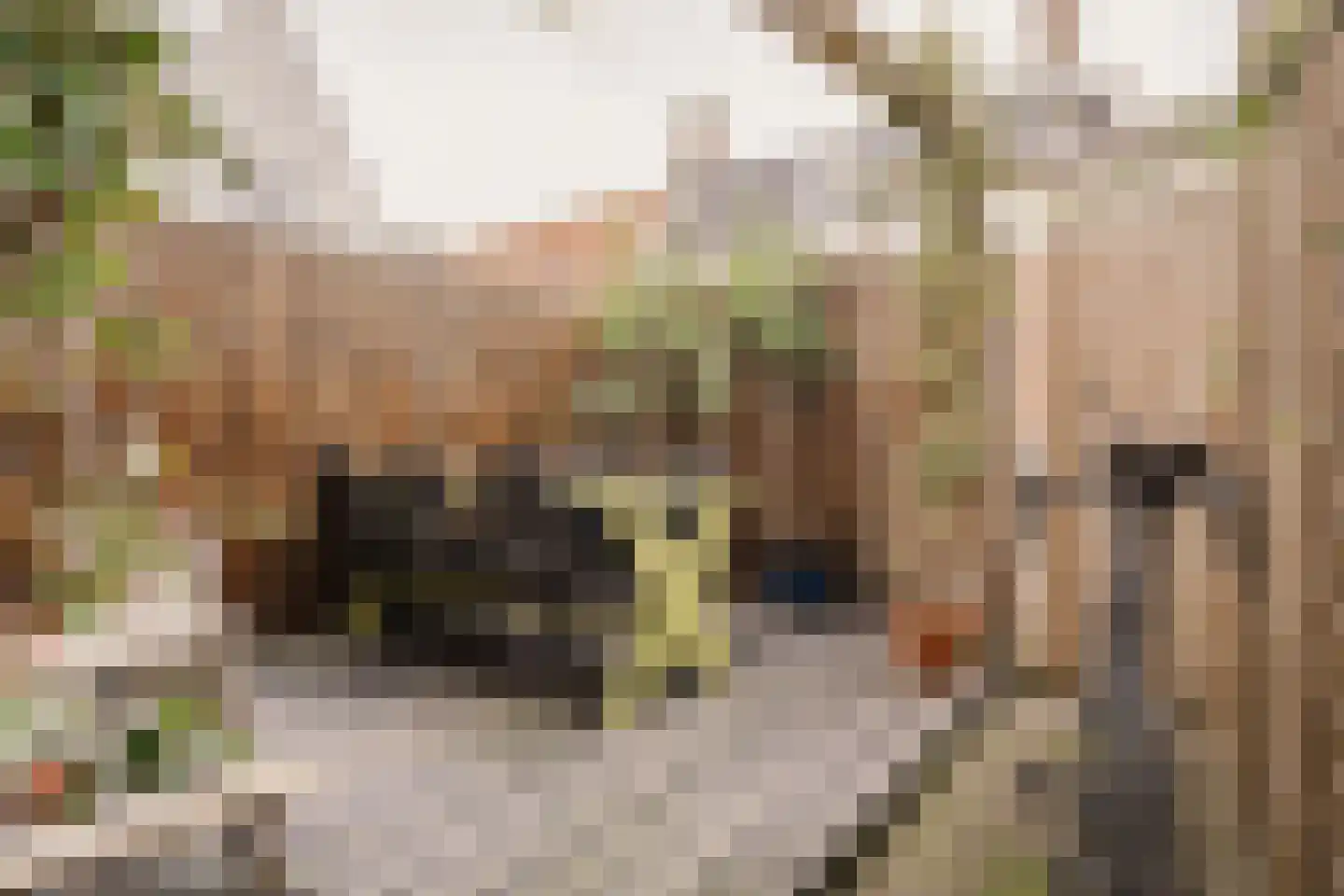 Cornelissteeg 3 Haarlem thumbnail 17