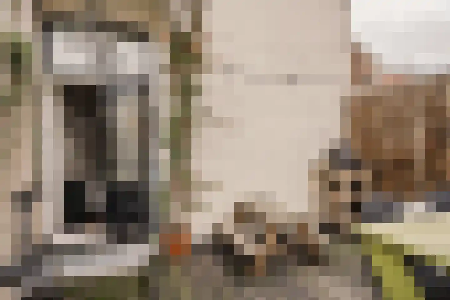 Cornelissteeg 3 Haarlem thumbnail 19