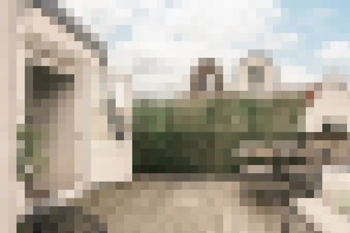 Cornelissteeg 3 Haarlem thumbnail 37
