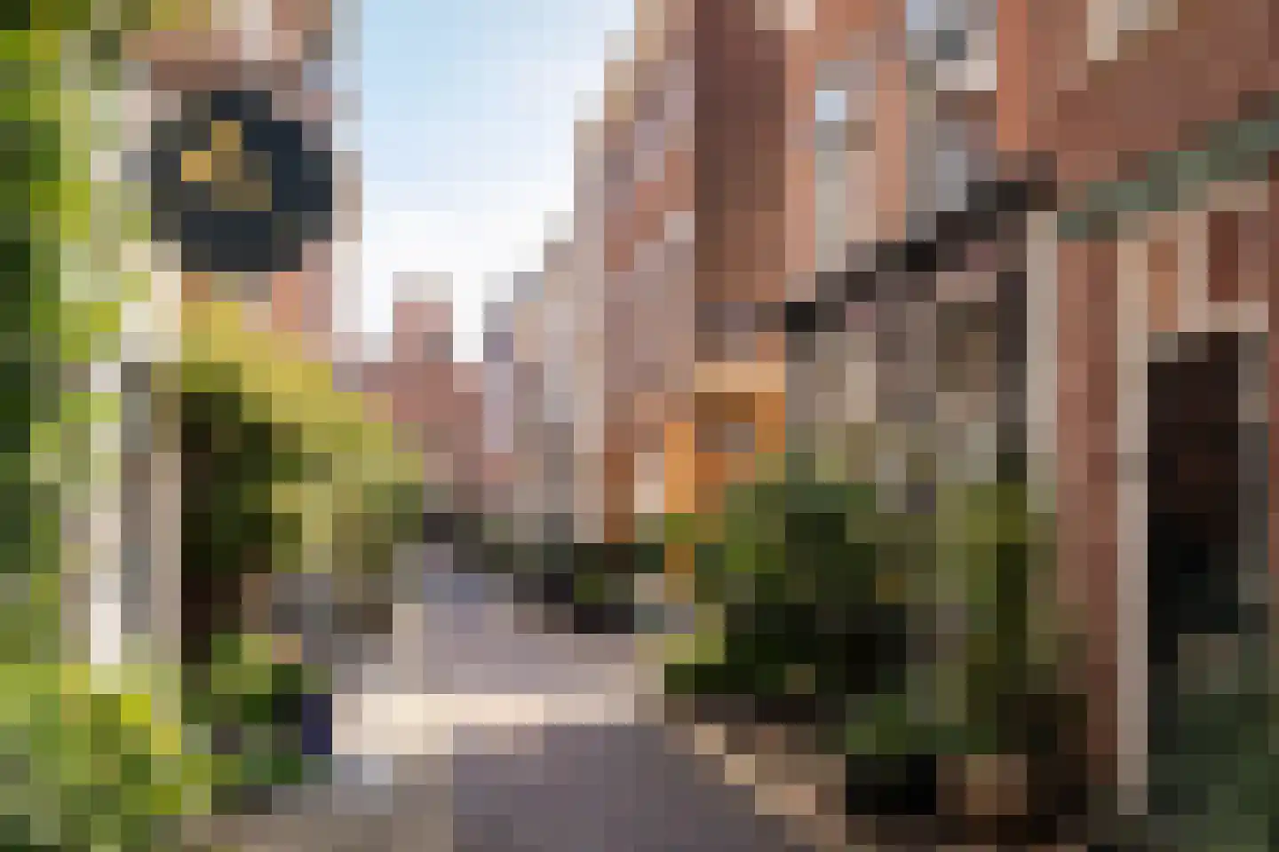 Cornelissteeg 3 Haarlem thumbnail 50