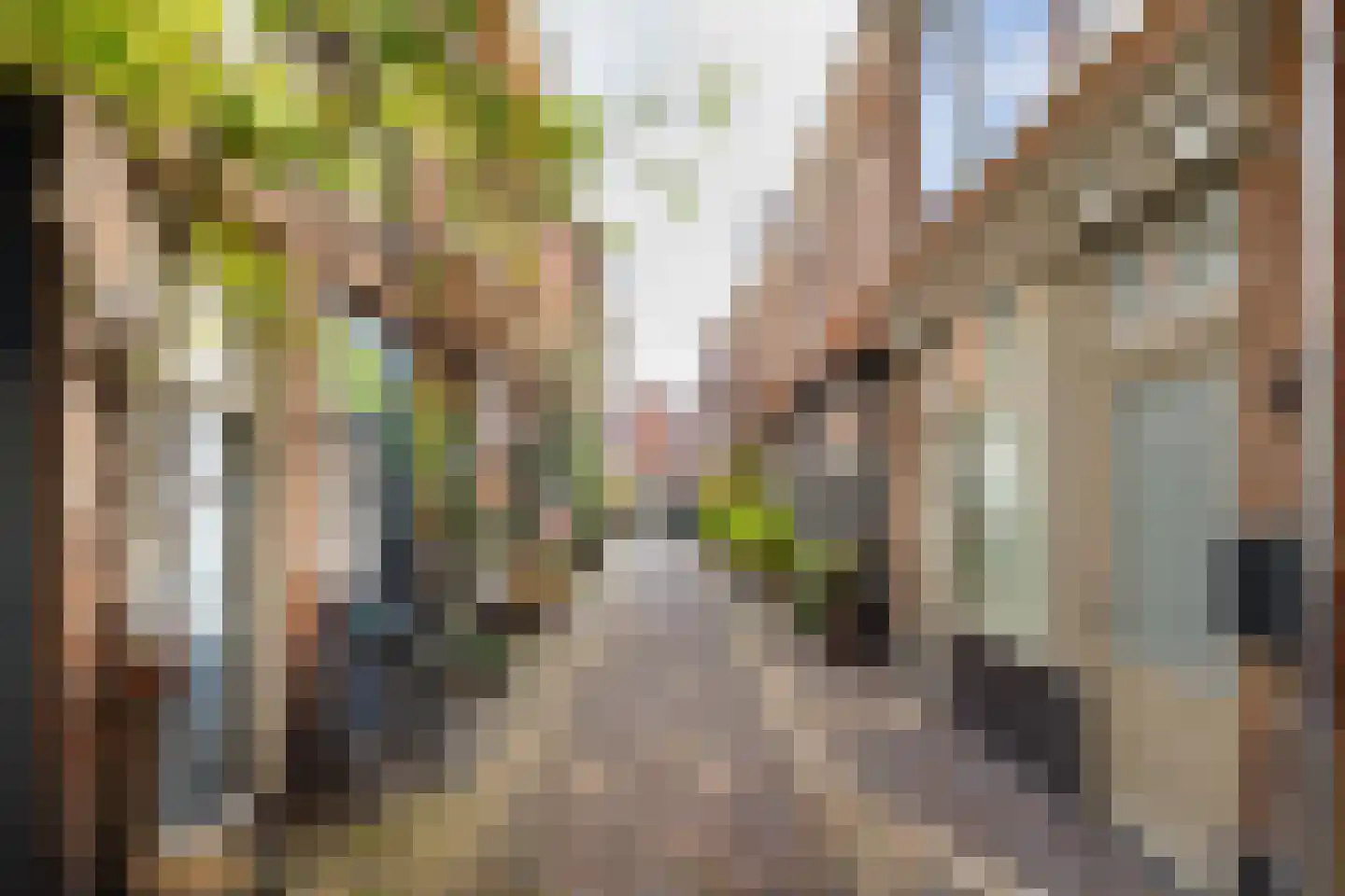 Cornelissteeg 4 A Haarlem thumbnail 34