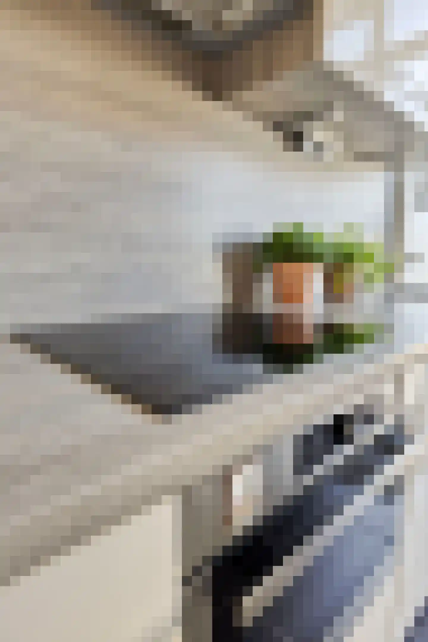 Cornelisstraat 18 Etten-Leur thumbnail 10