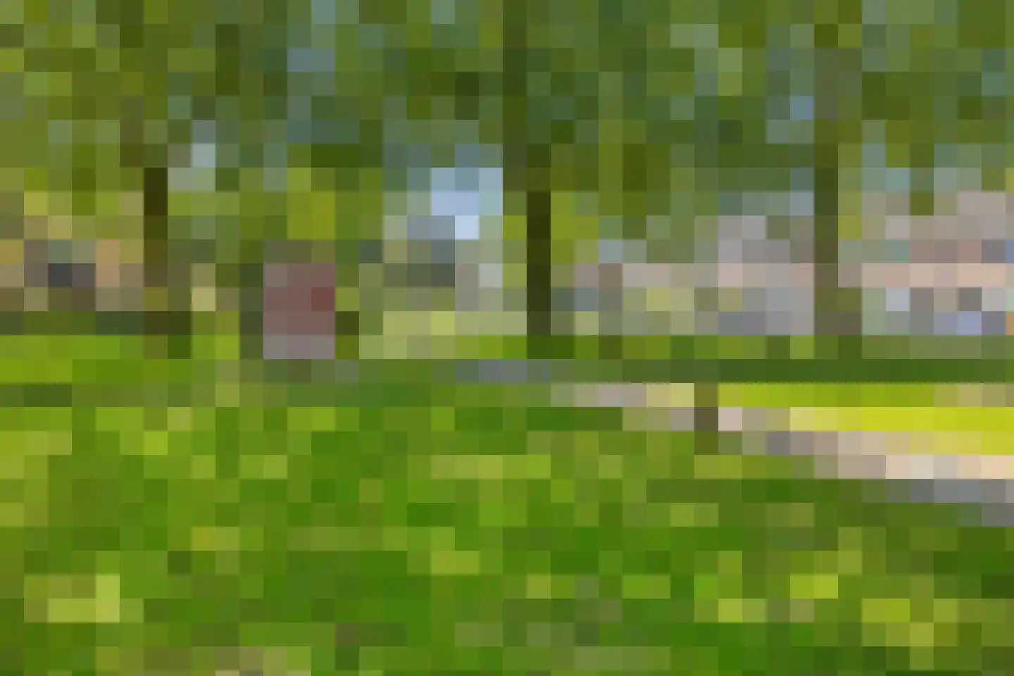 Cornelisstraat 18 Etten-Leur thumbnail 31
