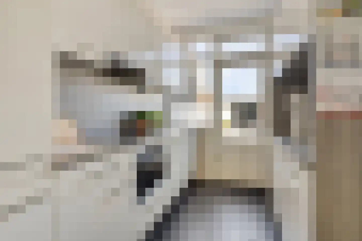 Cornelisstraat 18 Etten-Leur thumbnail 9