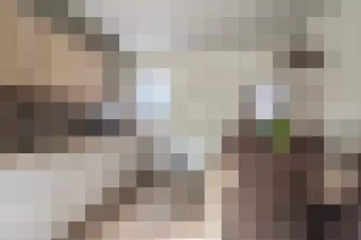 Cornelisstraat 3 Geleen thumbnail 33