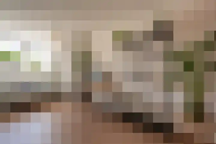 Cornelisstraat 3 Geleen thumbnail 34