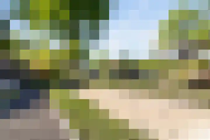 Cornelisstraat 3 Geleen thumbnail 43