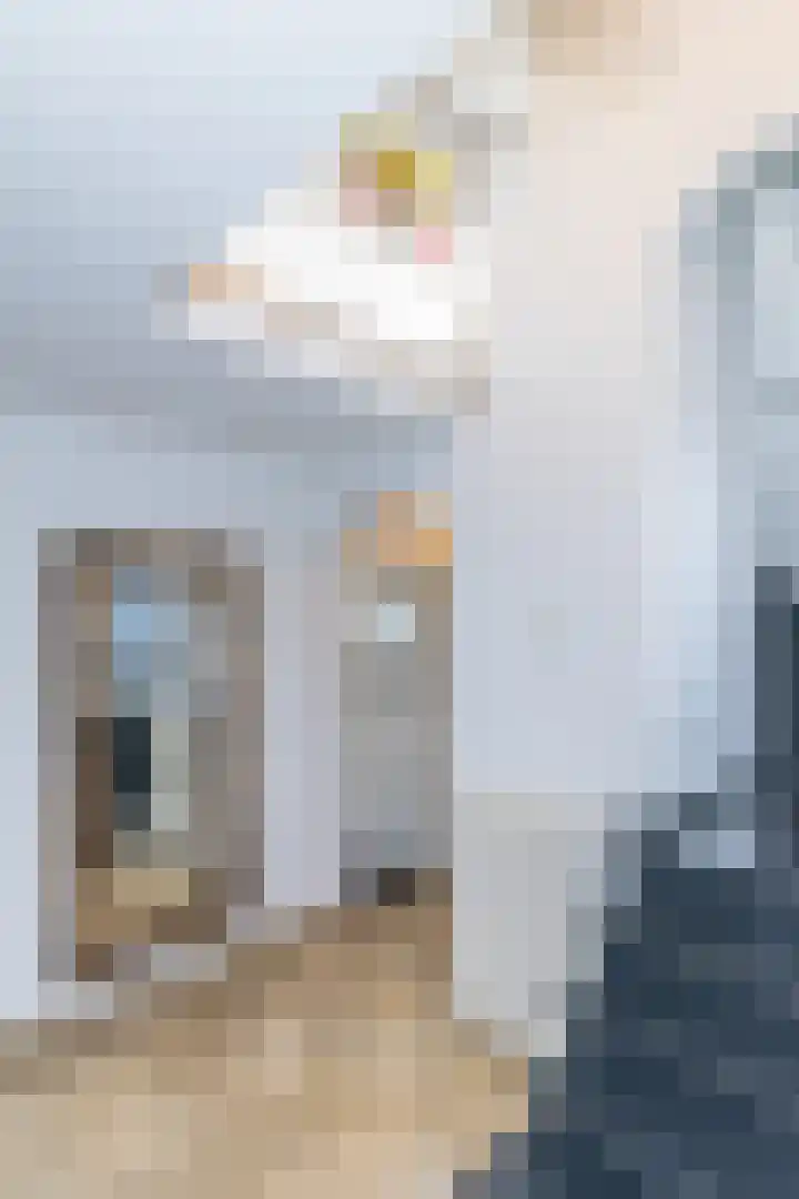 Cornelisstraat 3 Geleen thumbnail 6