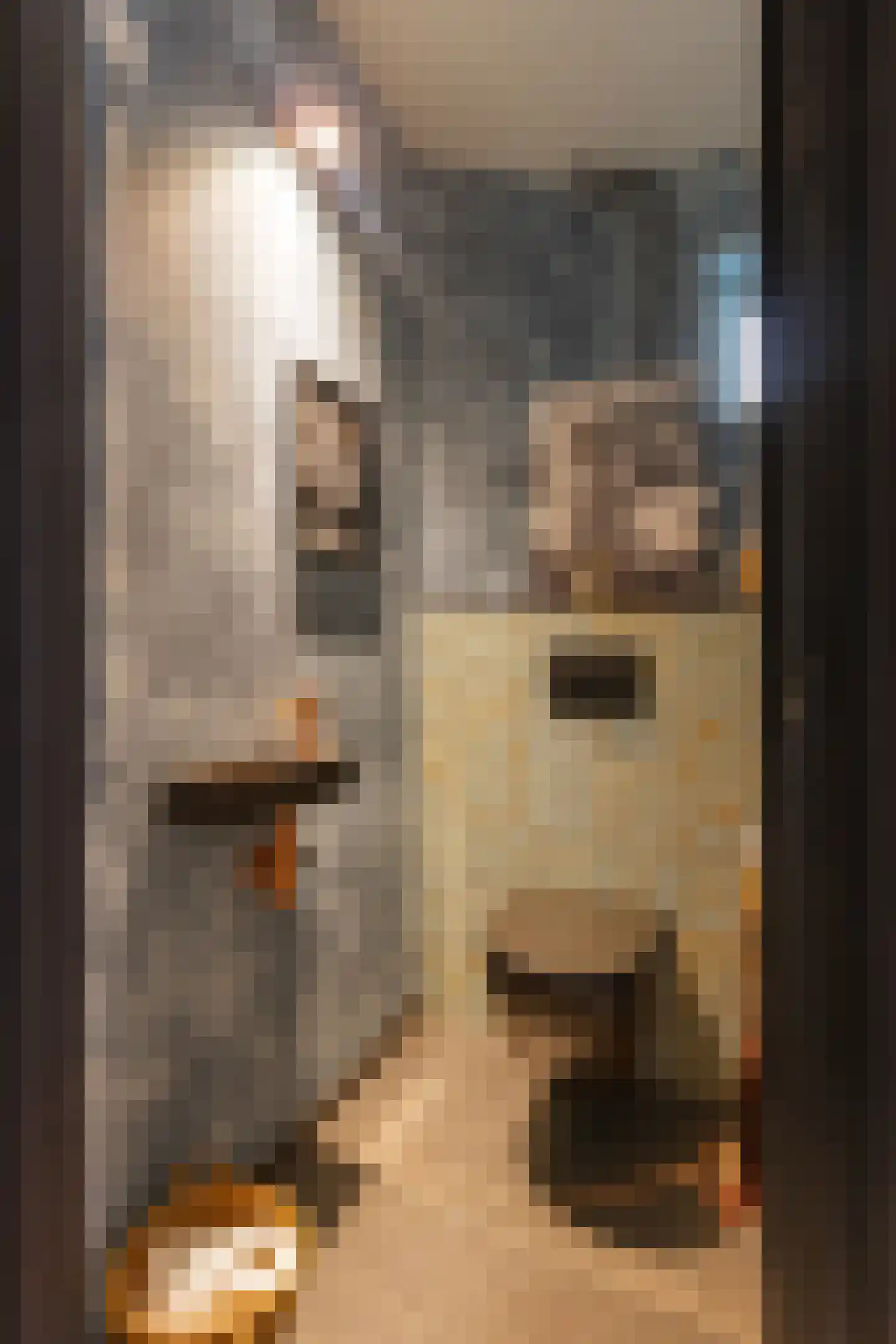 Cornelisstraat 7 Geleen thumbnail 10
