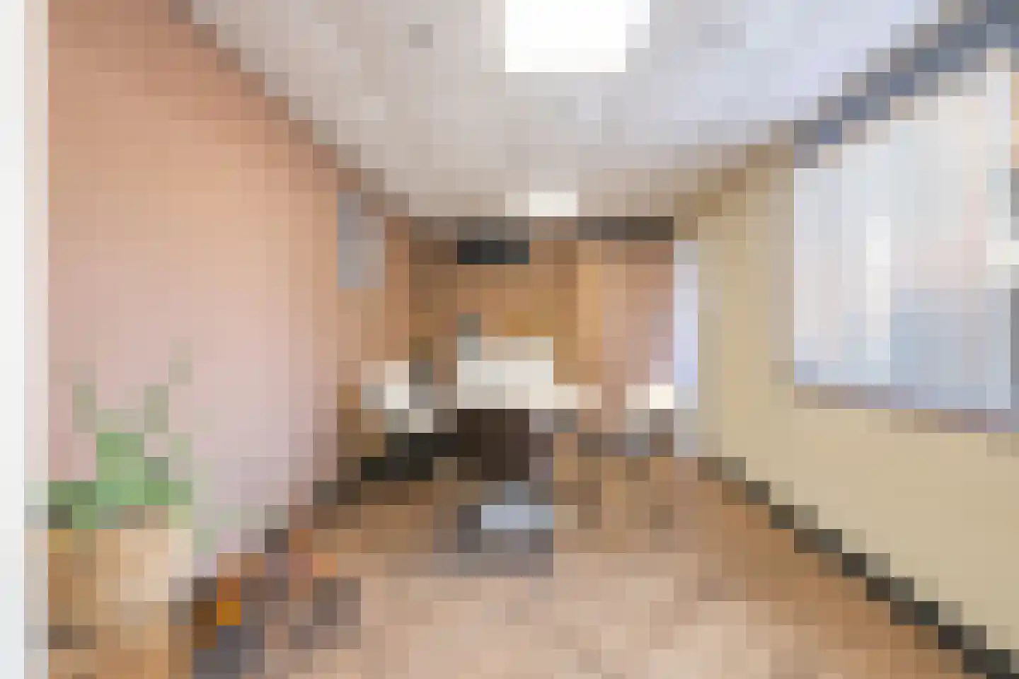 Cornelisstraat 7 Geleen thumbnail 24
