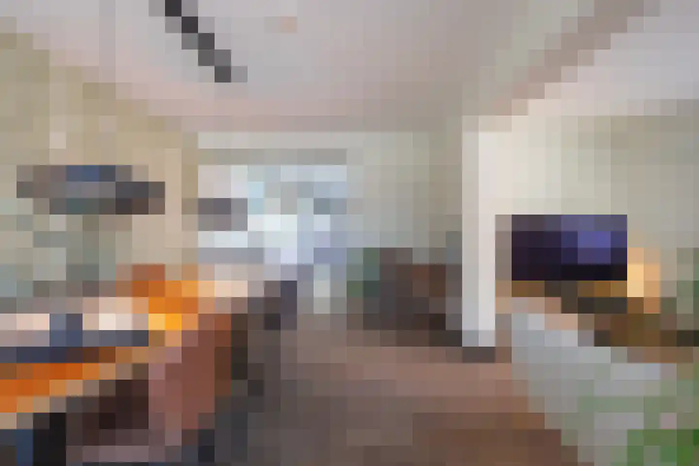 Cornelisstraat 7 Geleen thumbnail 7