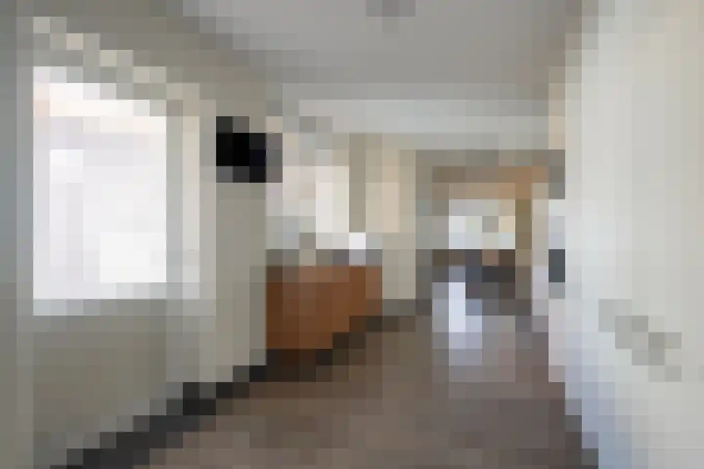 Cornelisstraat 7 Geleen thumbnail 9
