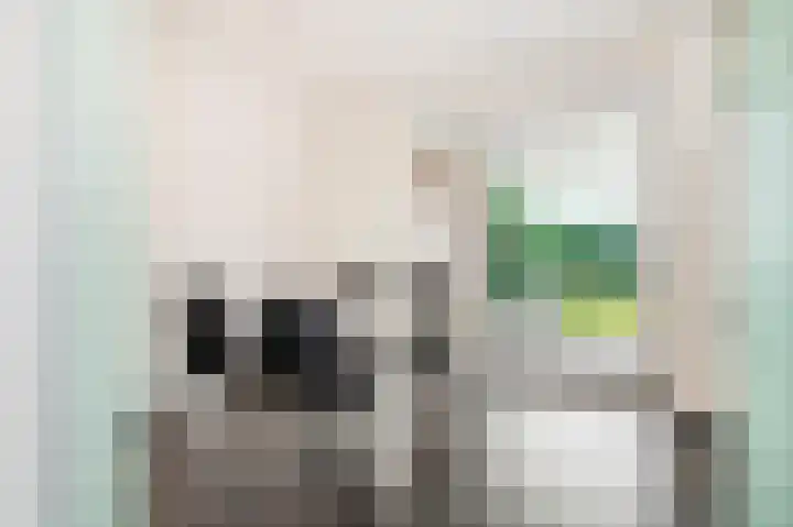 Corneliushof 18 Susteren thumbnail 17