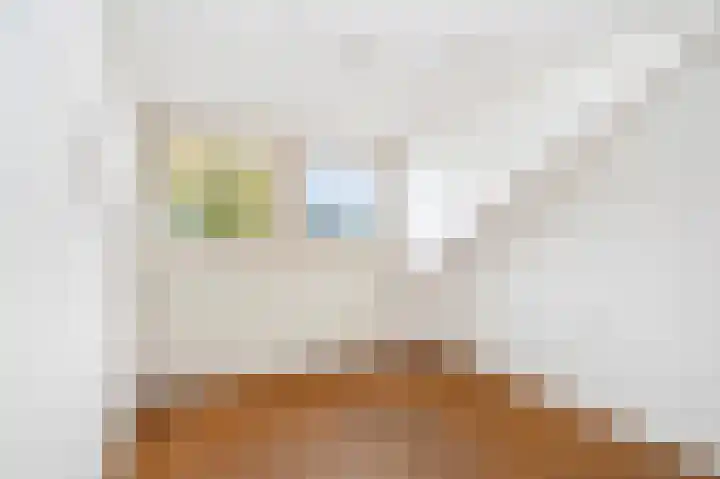 Corneliushof 18 Susteren thumbnail 22