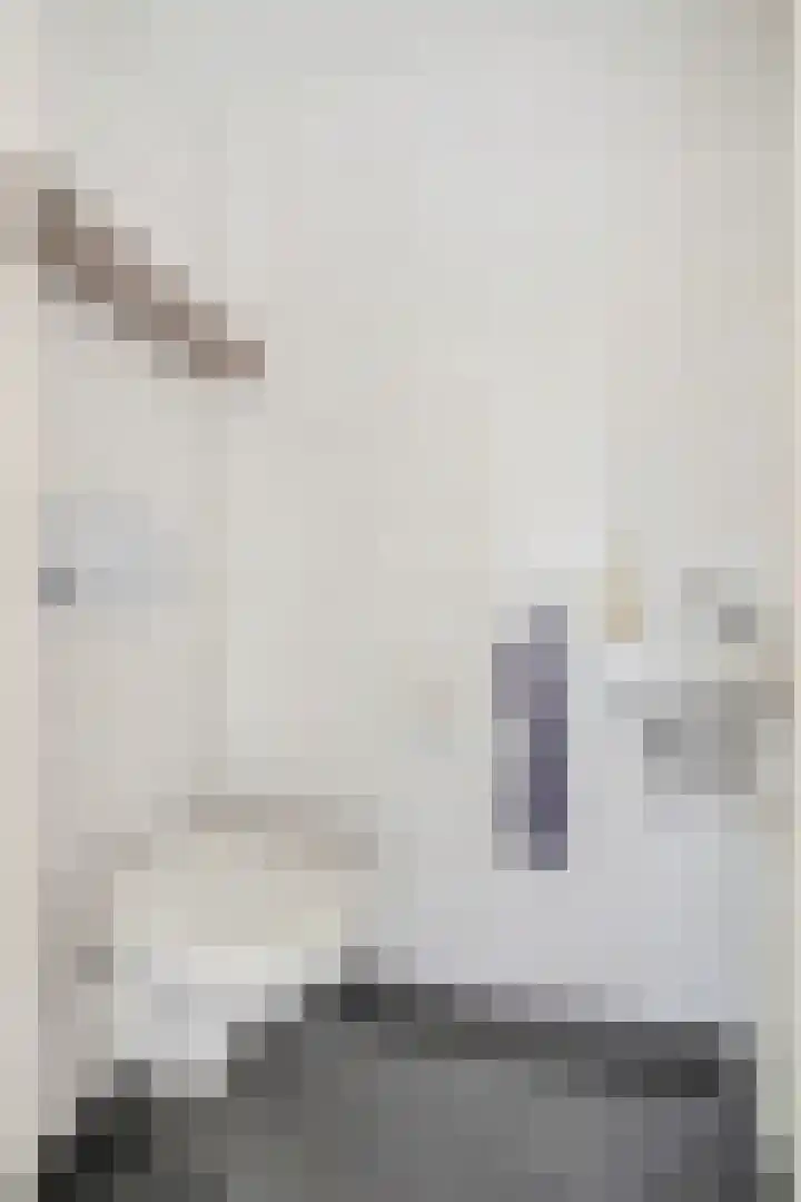 Corneliushof 18 Susteren thumbnail 8