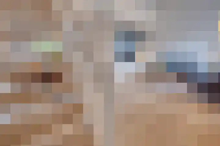 Corneliushof 22 Susteren thumbnail 10