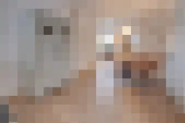 Corneliushof 22 Susteren thumbnail 14