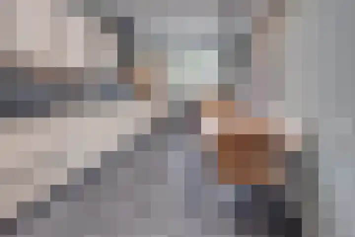 Corneliushof 22 Susteren thumbnail 16