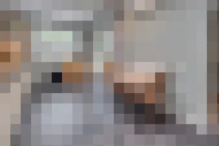 Corneliushof 22 Susteren thumbnail 17