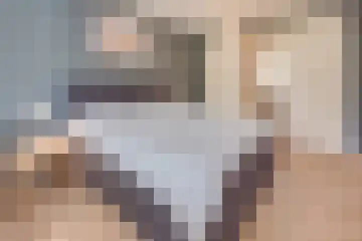 Corneliushof 22 Susteren thumbnail 22