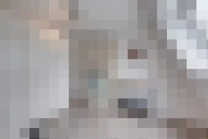 Corneliushof 22 Susteren thumbnail 28