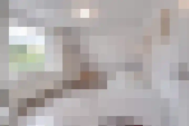 Corneliushof 22 Susteren thumbnail 29