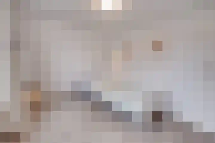 Corneliushof 22 Susteren thumbnail 31