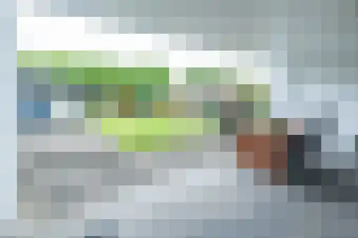 Corneliushof 22 Susteren thumbnail 36
